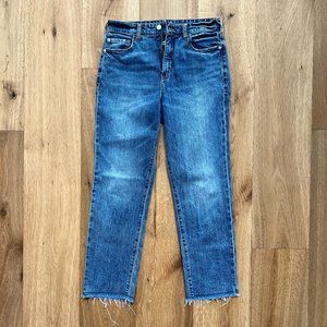 Anthropologie Pilcro Jeans The Vintage Straight